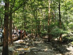 -国家植物园南园