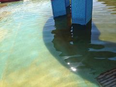 -北戴河圣蓝海洋公园