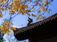 -嘉峪关关城