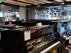 -雅马哈钢琴专卖店盛世雅歌琴行·电钢琴城·钢琴培训(翠微路店)