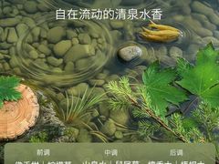 -融创茂(青岛店)