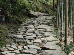 -山沟沟景区
