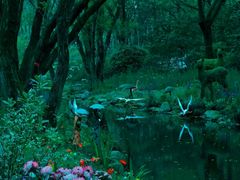 -上海共青森林公园