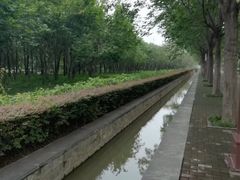 -洛阳市隋唐城遗址植物园