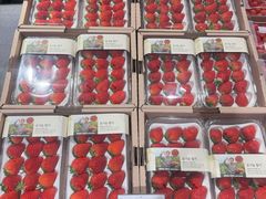 -乐天免税店(明洞店)