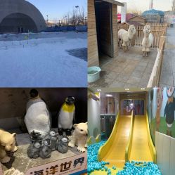 -欢乐陶陶儿童主题乐园(龙岗店)