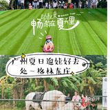 🥳广州No.1的夏日遛娃宝地👉格林东庄
