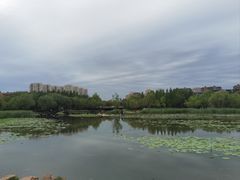 -前关湿地公园