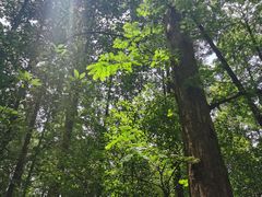 -同里国家湿地公园