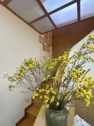 -宥莉·ULLY 痘敏肌•科技皮肤管理中心