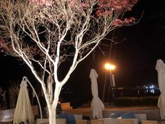 -JF Garden(渔人码头店)