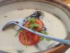-全乐鱼馆·淳牌有机鱼直营店