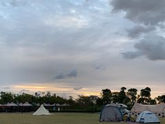 -春花秋色城市公园