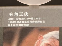 -广西壮族自治区博物馆