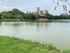 -顺峰山公园