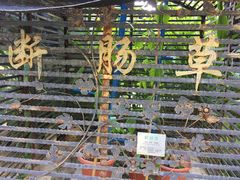-广州神农草堂中医药博物馆