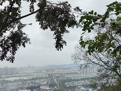 -灵岩山风景区