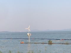 -贡湖湾湿地公园