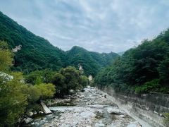 -朱雀国家森林公园