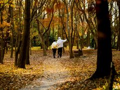 -上海共青森林公园