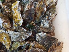 -宾朋海鲜特色美食餐厅·纯手工鲅鱼水饺(兴海路店)