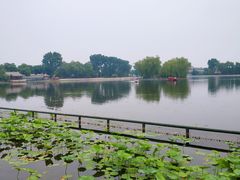 -什刹海