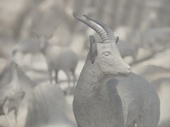 -中国湿地博物馆