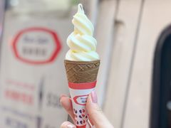 -富豪雪糕车流动点(尖沙咀店)