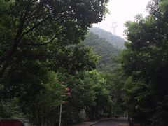 -江南天池