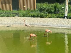 -太原动物园