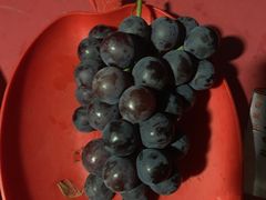 -马陆小张葡萄园农家乐