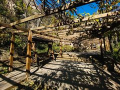 -大岭沟猕猴桃谷风景区