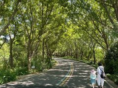 -同里国家湿地公园