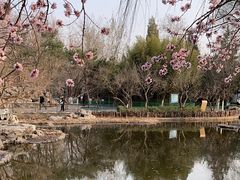 -宣武艺园
