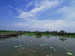 -哈素海
