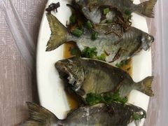 -陈根记大牌档