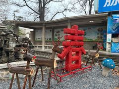 -保定市动物园