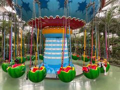 -南宫五洲植物乐园