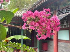 -恭王府博物馆