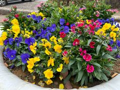 -千龙湖生态旅游度假区