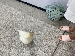 -取水楼(地铁站)