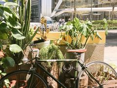 -农畉LONFOOD(福田星河COCOPark店)