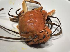 -小厨娘淮扬菜(河西奥美大厦店)