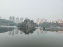 -重庆彩云湖湿地公园