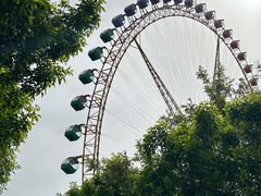 -辛玛王国游乐园