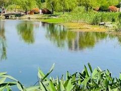 -贵阳市花溪国家城市湿地公园