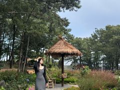 -沂蒙山旅游区云蒙景区(蒙山国家森林公园)
