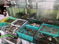 -胖子饺子馆·海鲜家常菜(海军博物馆店)