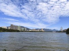 -飞来湖湿地公园