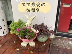 -小象托育